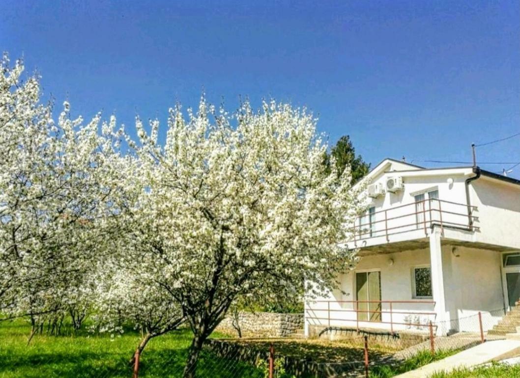 Apartments Pasha Blagaj Esterno foto
